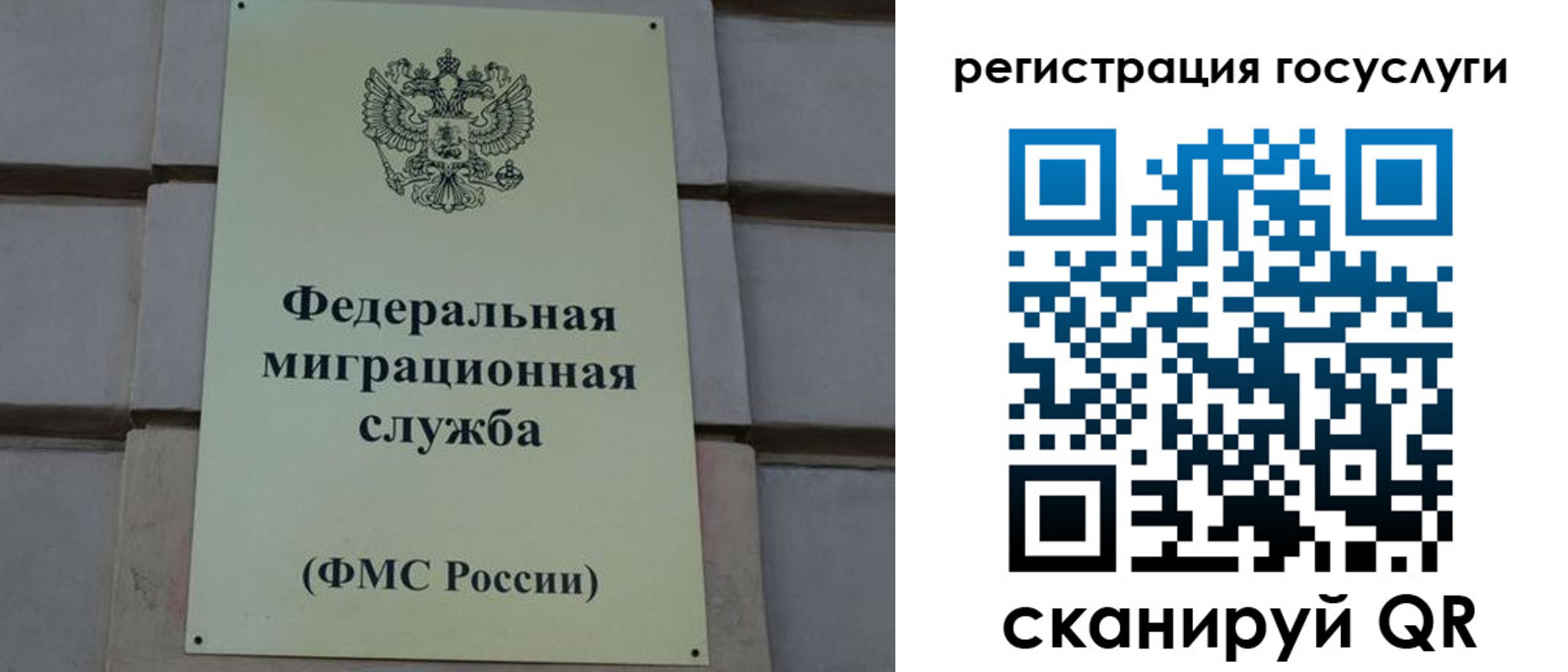 временная регистрация поиск в Каргате